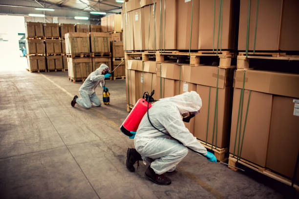 Best Local Pest Control Services  in Lake Tapps, WA