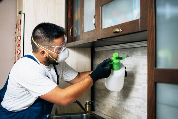 Best Residential Pest Control  in Lake Tapps, WA