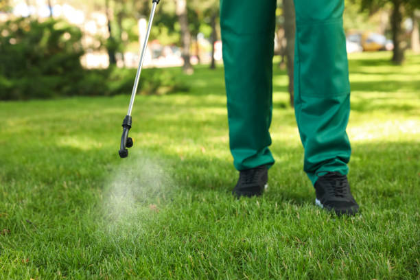 Best Ant Control Services  in Lake Tapps, WA