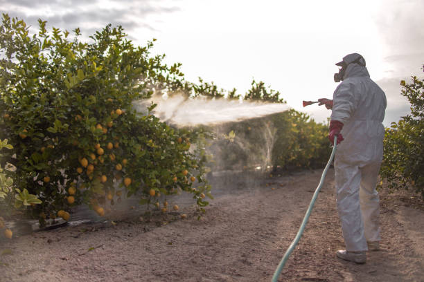 Best Best Pest Control Companies  in Lake Tapps, WA