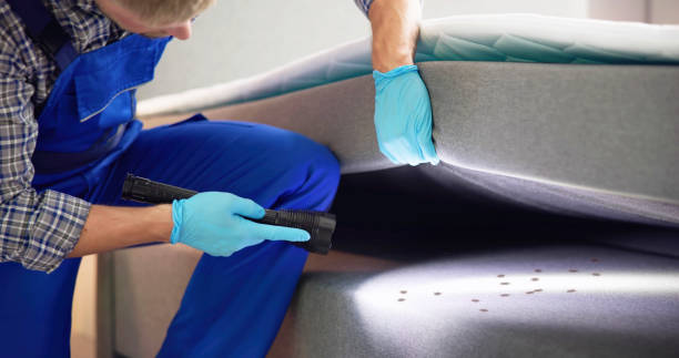 Trusted Lake Tapps, WA Pest Control Experts