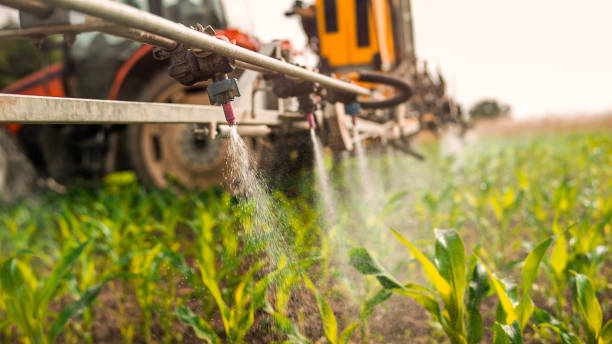 Pest Prevention Services in Lake Tapps, WA